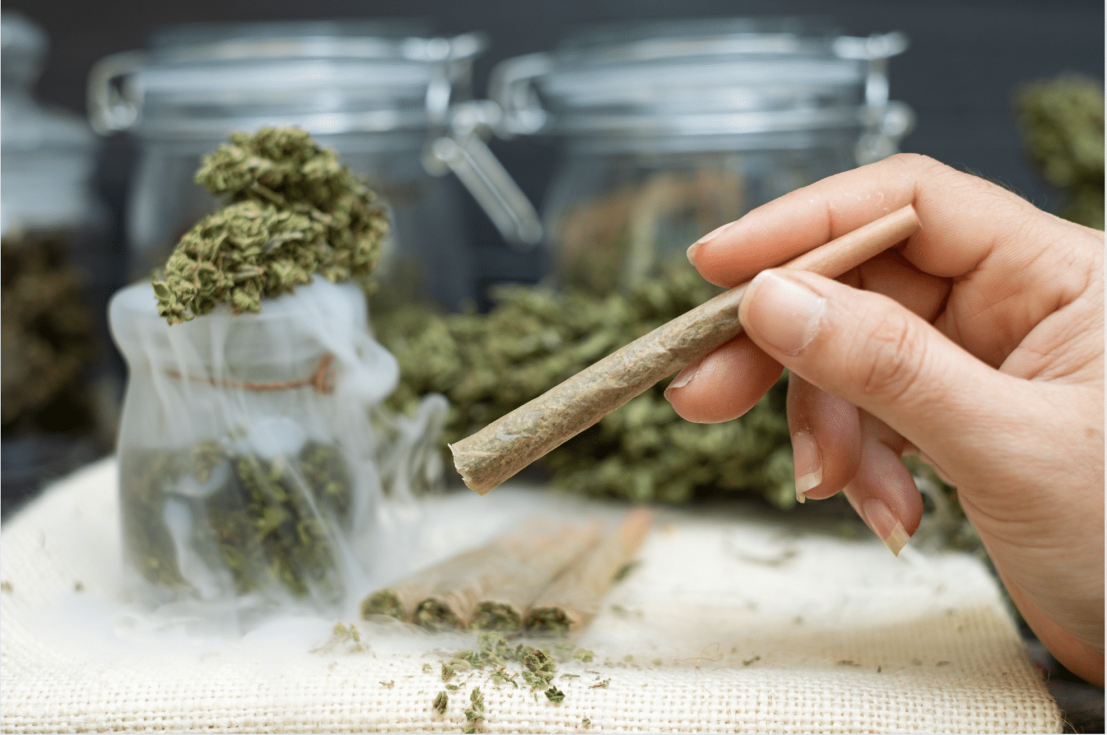 Are Delta-8 Pre Rolls Safe? What You Need to Know