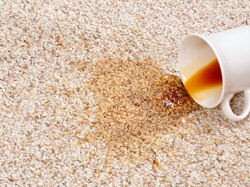 How to clean chocolate out of carpet